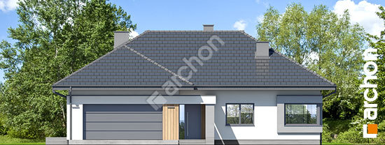 Передній фасад Будинок у звіробої