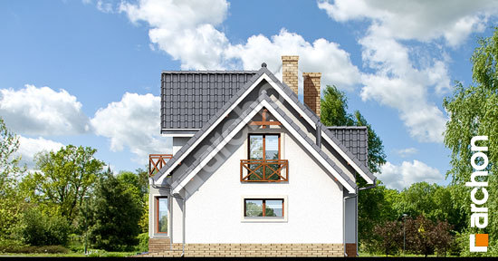 Боковой фасад Дом в клюкве 2 вер.2