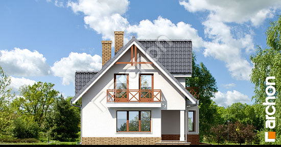 Боковой фасад Дом в клюкве 2 вер.2