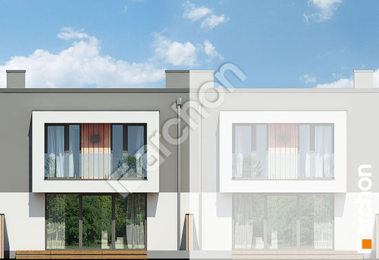 Дворовий фасад Будинок в клематисах 24 (С)