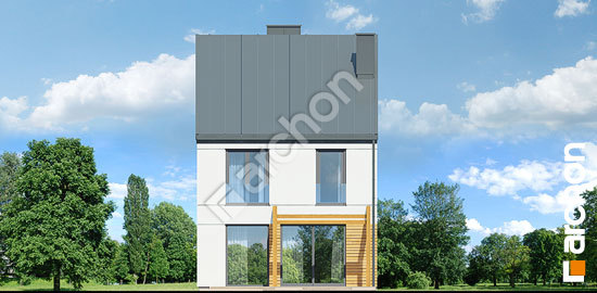 Дворовий фасад Будинок під гінко 12 (Г)