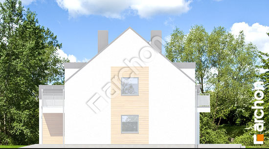 Боковой фасад Дом под агавами 2 (В)