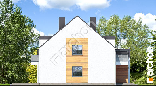 Боковой фасад Дом под агавами 2 (В)