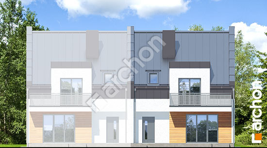 Дворовий фасад Будинок під агавами 2 (В)