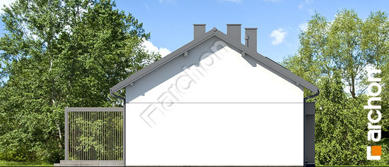 Боковой фасад Дом в базилике 3