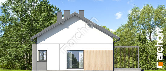 Боковой фасад Дом в базилике 3