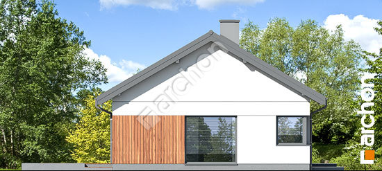 Бочний фасад Будинок в липниках