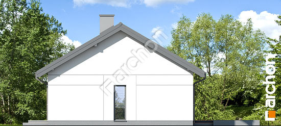 Боковой фасад Дом в липенниках