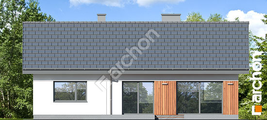 Дворовий фасад Будинок в липниках