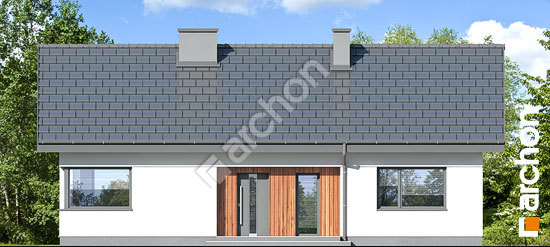 Передний фасад Дом в липенниках