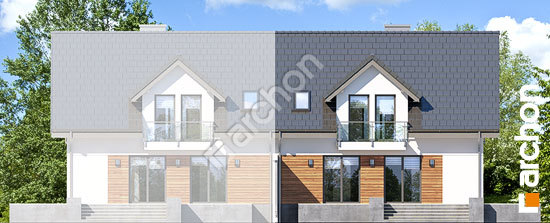 Дворовий фасад Будинок в рододендронах 25 (ПБ)