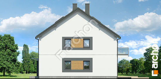 Боковой фасад Дом в фиалках 14 (Р2Б) вер.3