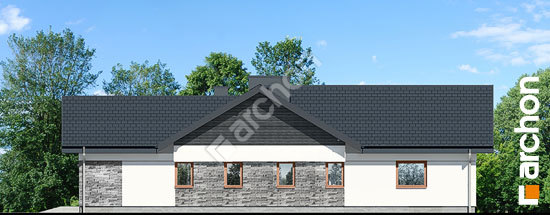 Бочний фасад Будинок в навлоціях 4 (Г2)