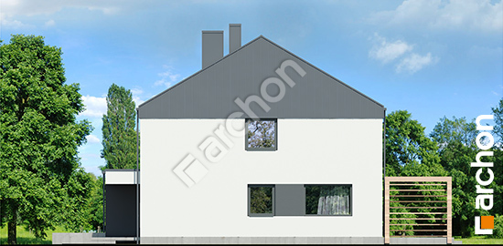 Боковой фасад Дом в нарциссах 7 (Р2)