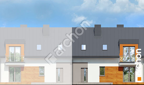 Дворовой фасад Дом в химонантах (С) вер. 2