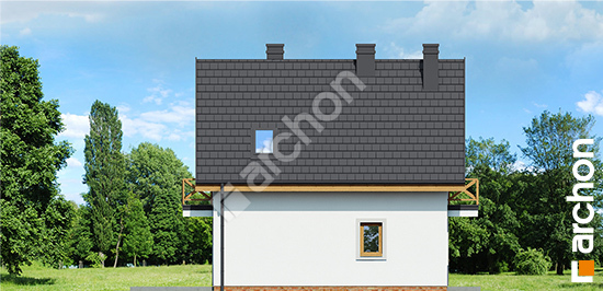 Бочний фасад Будинок в рододендронах 11 вер.3