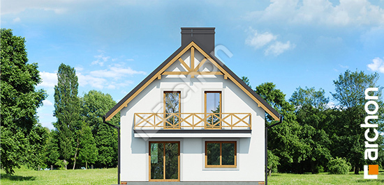 Дворовий фасад Будинок в рододендронах 11 вер.3