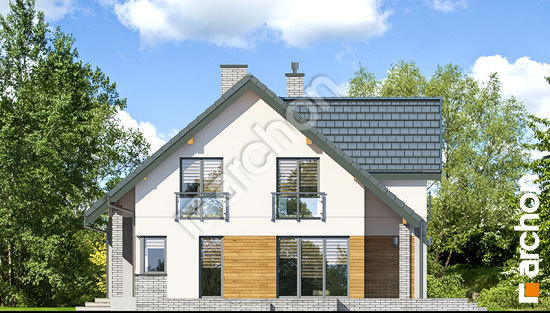 Боковой фасад Дом в аурорах 3