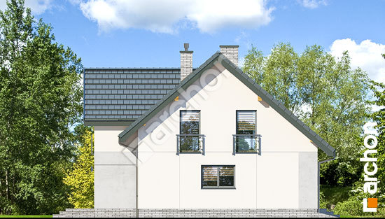 Боковой фасад Дом в аурорах 3