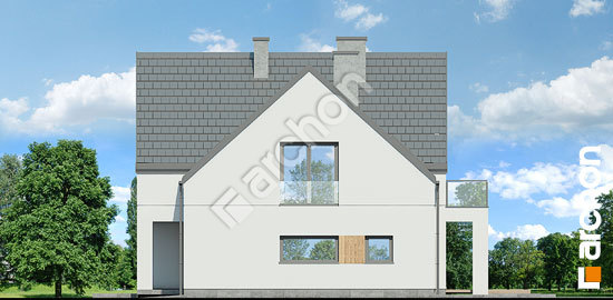 Бочний фасад Будинок в аморфах (Г2)