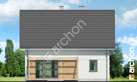 Дворовий фасад Будинок в хлорофітумі ВДЕ