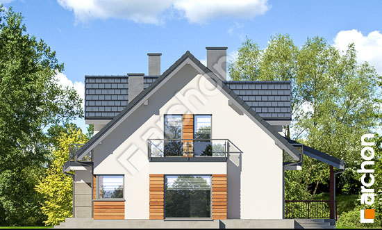 Бочний фасад Будинок у тамарисках 4 (ПН)