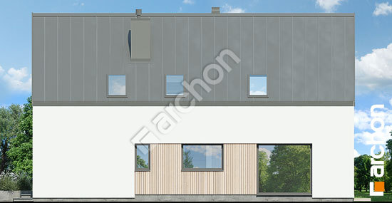 Боковой фасад Дом в папаверах (А)