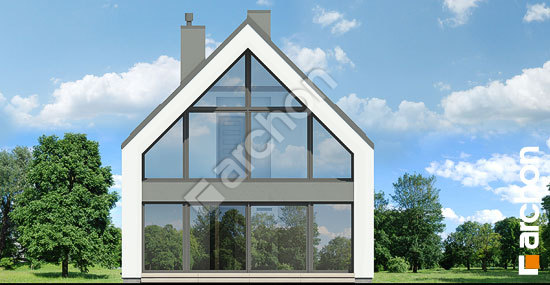 Дворовой фасад Дом в папаверах (А)