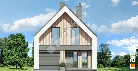 Передний фасад Дом в папаверах (А)