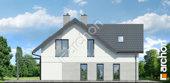 Боковой фасад Дом в лесной землянике