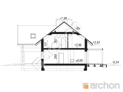 Проект дома ARCHON+ Дом в лесной землянике Розріз будинку