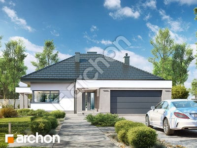 Проєкт будинку ARCHON+ Будинок в нігеллах 2 (Г2) 