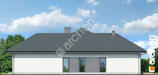 Бочний фасад Будинок в підсніжниках 4 (Г2)