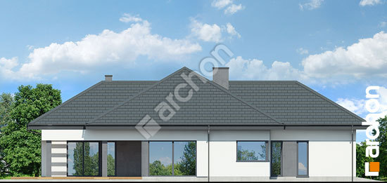 Бочний фасад Будинок в підсніжниках 4 (Г2)