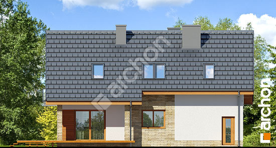 Дворовой фасад Дом в айдаредах 5 (А)