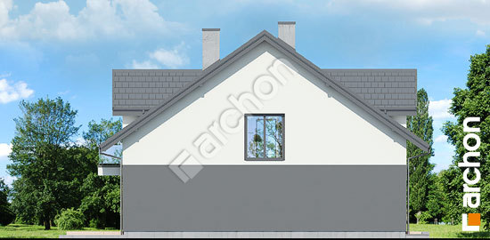 Бочний фасад Будинок під гінко 20 (ГБ)