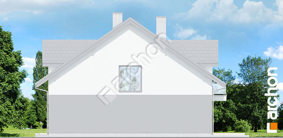 Боковой фасад Дом под гинко 20 (ГБ)