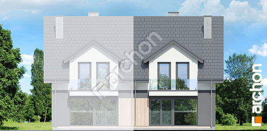 Дворовой фасад Дом под гинко 20 (ГБ)