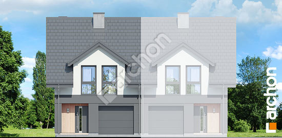 Передний фасад Дом под гинко 20 (ГБ)