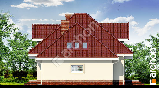 Бочний фасад Будинок в нектаринах вер.2