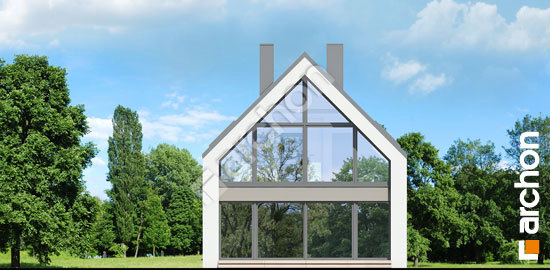 Дворовой фасад Дом в папаверах 2 (ВЕ)