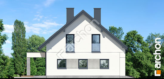 Боковой фасад Дом в коммифорах 5