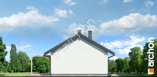 Бочний фасад Будинок в ірисах (А)