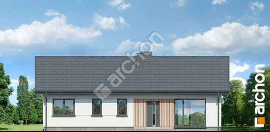 Передній фасад Будинок в ірисах (А)