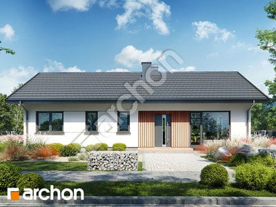 Проект дома ARCHON+ Дом в ирисе (А) 