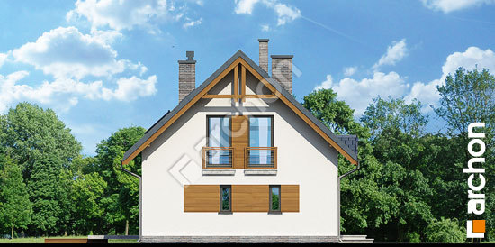 Бочний фасад Будинок в суниці 3