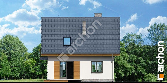 Дворовий фасад Будинок в суниці 3