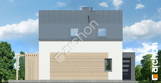 Боковой фасад Дом в голокучнике (А)