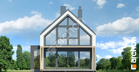 Дворовий фасад Будинок в голокупнику (А)