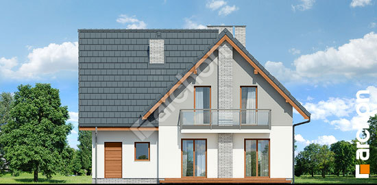 Дворовий фасад Будинок в сон-траві 3 (Г)